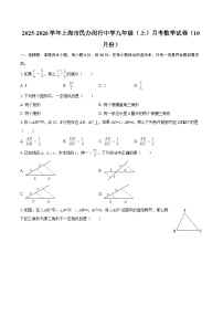 2025-2026学年上海市民办闵行中学九年级（上）月考数学试卷（10月份）-自定义类型