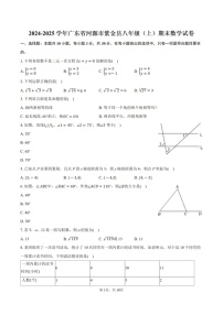 2024-2025年广东省河源市紫金县八年级上学期期末考数学试卷（含答案）