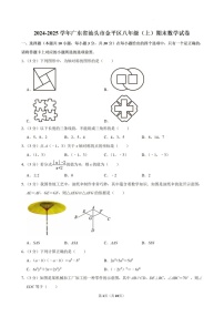 2024-2025年广东省汕头市金平区八年级上学期期末考数学试卷（含答案）