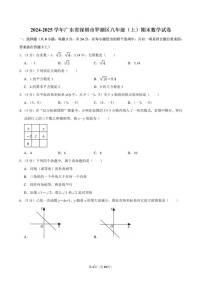 2024-2025年广东省深圳市罗湖区八年级上学期期末考数学试卷（含答案）