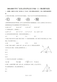 2024-2025年广东省云浮市罗定市八年级上学期期末考数学试卷（含答案）