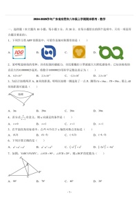 2024-2025学年广东省东莞市八年级上学期期末联考数学试卷（含答案）