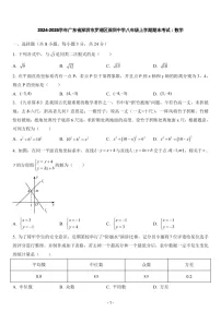 2024-2025学年广东省深圳市罗湖区深圳中学八年级上学期期末考试数学试卷（含答案）