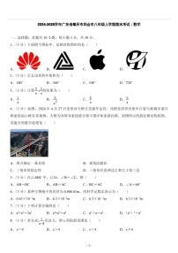 2024-2025学年广东肇庆市四会市八年级上学期期末考试数学试卷（含答案）