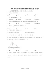 广东省广州市海珠区中山大学附属中学2024-2025学年八年级上学期期末数学试题（含答案）