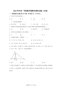 广东省广州市海珠区中山大学附属中学2024-2025学年八年级上学期期末数学试题（含答案）