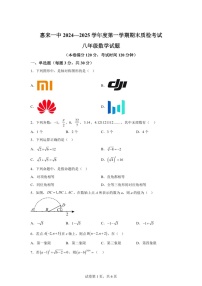 广东省揭阳市惠来县第一中学2024-2025学年八年级上学期1月期末数学试题（含答案）