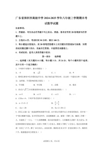 广东省深圳市高级中学2024-2025学年八年级上学期期末考试数学试题（含答案）