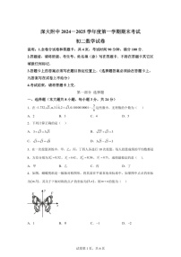 广东省深圳市深圳大学附属中学2024—2025学年八年级上学期期末考试数学试卷（含答案）