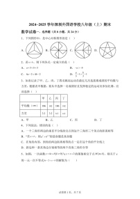 广东省深圳外国语学校2024—2025学年八年级上学期期末考试数学试题（含答案）
