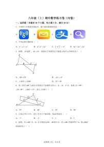 广东省广州市第十六中学2024-2025学年八年级上学期期中考试数学试题（含答案）