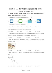 广东省广州市第七中学2024-2025学年八年级上学期期中考试数学试卷（含答案）