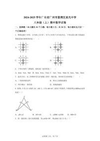 广东省广州市荔湾区真光中学2024-2025学年上学期八年级期中数学试卷（含答案）