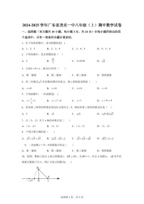 广东省茂名市第一中学2024-2025学年八年级上学期期中数学试卷（含答案）