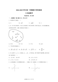 广东省深圳市宝安中学（集团）初中部2024-2025学年八年级上学期11月期中考试数学试题（含答案）