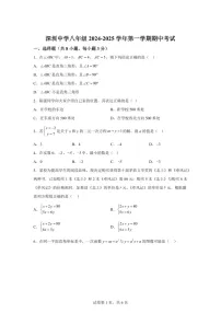 广东省深圳市深圳中学初中部2024-2025学年八年级上学期11月期中考试数学试题（含答案）