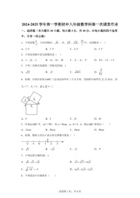 广东省佛山市佛山实验学校2024-2025学年八年级上学期第一次月考数学试题（含答案）