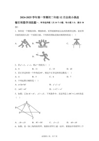广东省中山市华辰实验中学2024-2025学年上学期八年级敏行班12月月考数学（含答案）