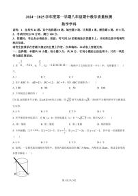 2024-2025学年深圳市南山实验教育集团八年级上学期期中数学试卷及答案
