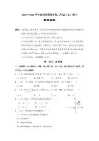 2024-2025学年深圳外国语学校八年级上学期期中数学试卷及答案