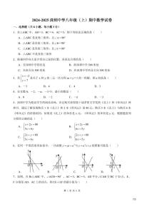 2024-2025学年深圳中学八年级上学期期中数学试卷含答案