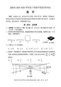 2024-2025学年深圳市初三中考适应性考试数学试卷含答案
