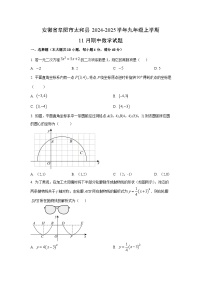 安徽省阜阳市太和县2024-2025学年九年级上学期11月期中数学试卷（学生版）