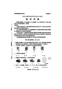 2025年山东省德州市中考数学真题试卷（无答案）