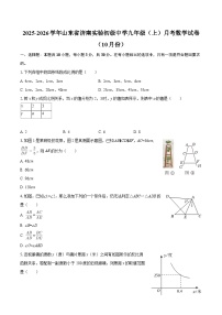 2025-2026学年山东省济南实验初级中学九年级（上）月考数学试卷（10月份）-自定义类型
