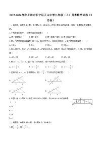2025-2026学年上海市长宁区天山中学九年级（上）月考数学试卷（9月份）-自定义类型