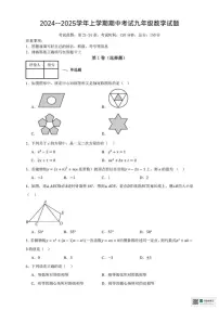 甘肃省张掖市肃南裕固族自治县祁丰学校2024-2025学年上学期期中考试九年级数学试卷