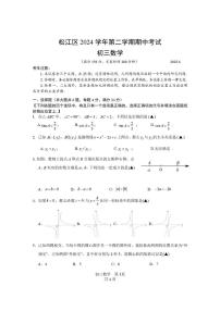 上海市松江区2024-2025学年九年级下学期期中考试数学试卷