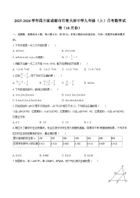 2025-2026学年四川省成都市石室天府中学九年级（上）月考数学试卷（10月份）-自定义类型