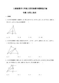 八年级上学期数学压轴必考题型——全等三角形练习（含答案）