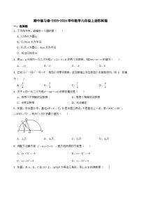 期中练习卷-2025-2026学年苏科版数学九年级上册