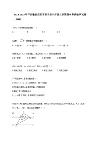 2024~2025学年安徽省安庆市怀宁县八年级上册期中考试数学试题（含答案）