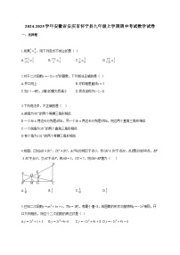 2024~2025学年安徽省安庆市怀宁县九年级上册期中考试数学试题（含答案）
