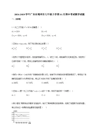 2024~2025学年广东省梅州市九年级上册11月期中考试数学试题（含答案）