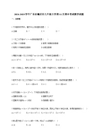 2024~2025学年广东省肇庆市九年级上册11月期中考试数学试题（含答案）