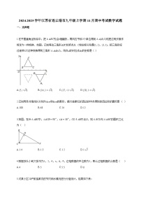 2024~2025学年江苏省连云港市九年级上册11月期中考试数学试题（含答案）