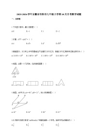 2025~2026学年安徽省阜阳市九年级上册10月月考数学试题（含答案）