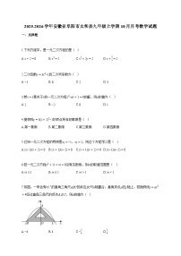 2025~2026学年安徽省阜阳市太和县九年级上册10月月考数学试题（含答案）