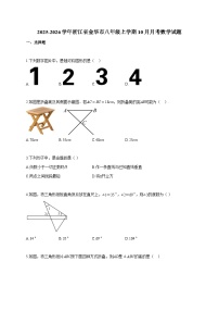 2025~2026学年浙江省金华市八年级上册10月月考数学试题（含答案）