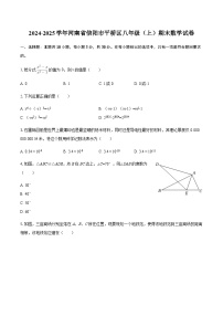 2024-2025学年河南省信阳市平桥区八年级（上）期末数学试卷（含答案）