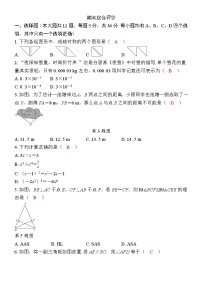 期末综合评价  2025-2026学年 人教版八年级数学上册试卷 含答案