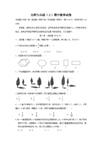 北师大版九年级数学(上)期中卷（2）及答案