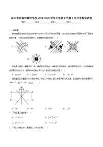 济南稼轩学校2024-2025学年七年级下学期5月月考数学试卷(含解析)