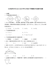 江西省萍乡市2024-2025学年七年级下学期期末考试数学试卷(含解析)