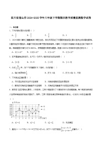 四川省眉山市2024-2025学年八年级下学期期末教学质量监测数学试卷(含解析)