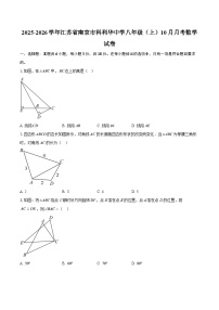 2025-2026学年江苏省南京市科利华中学八年级（上）10月月考数学试卷-自定义类型